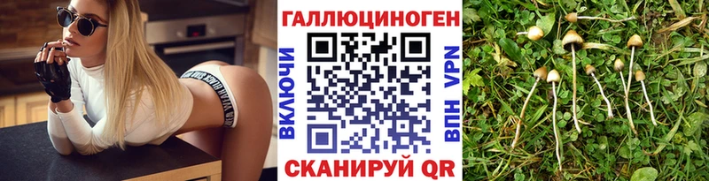 Псилоцибиновые грибы ЛСД  Балабаново 